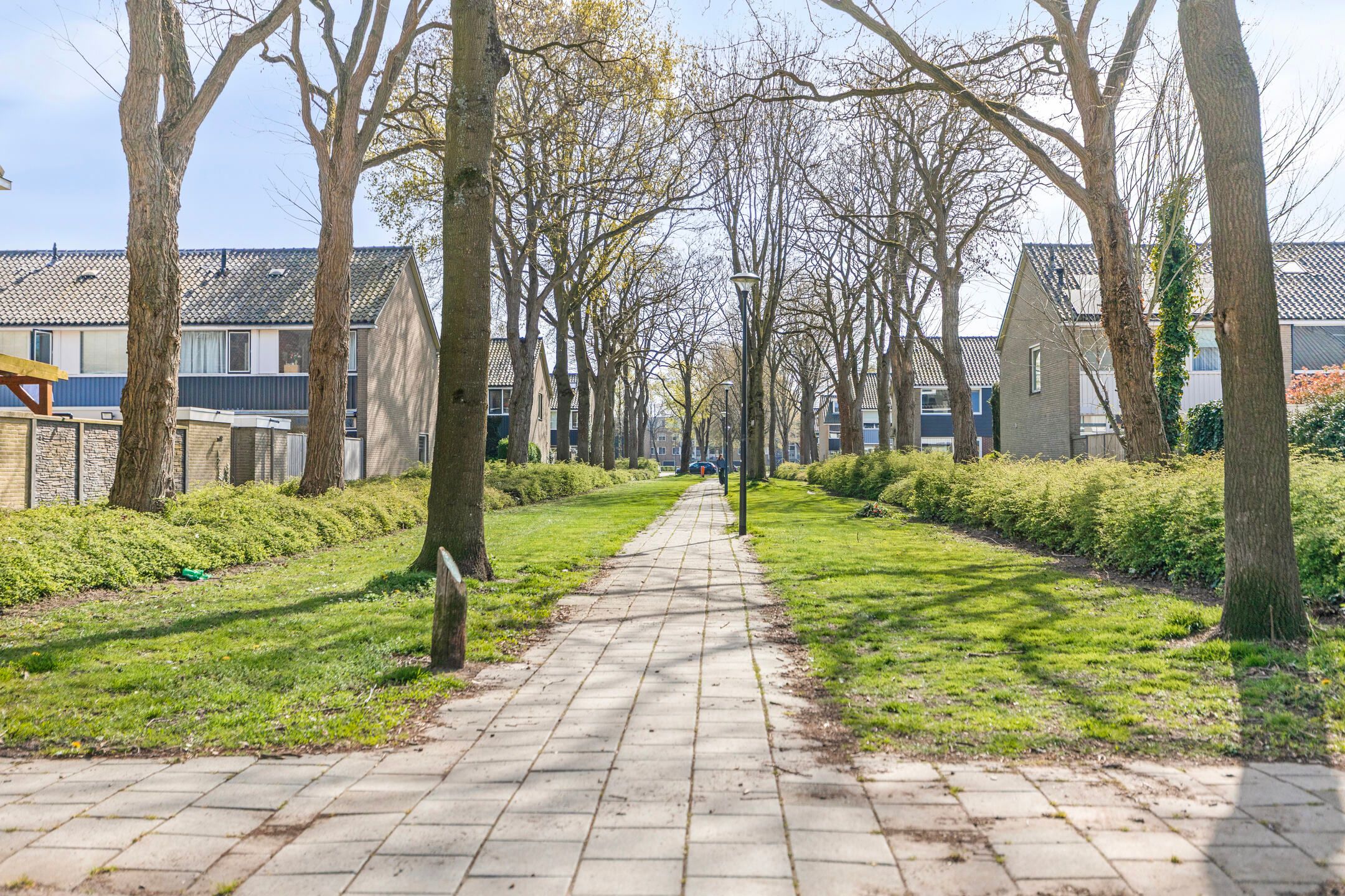 Foto 39 van Bachstraat 6