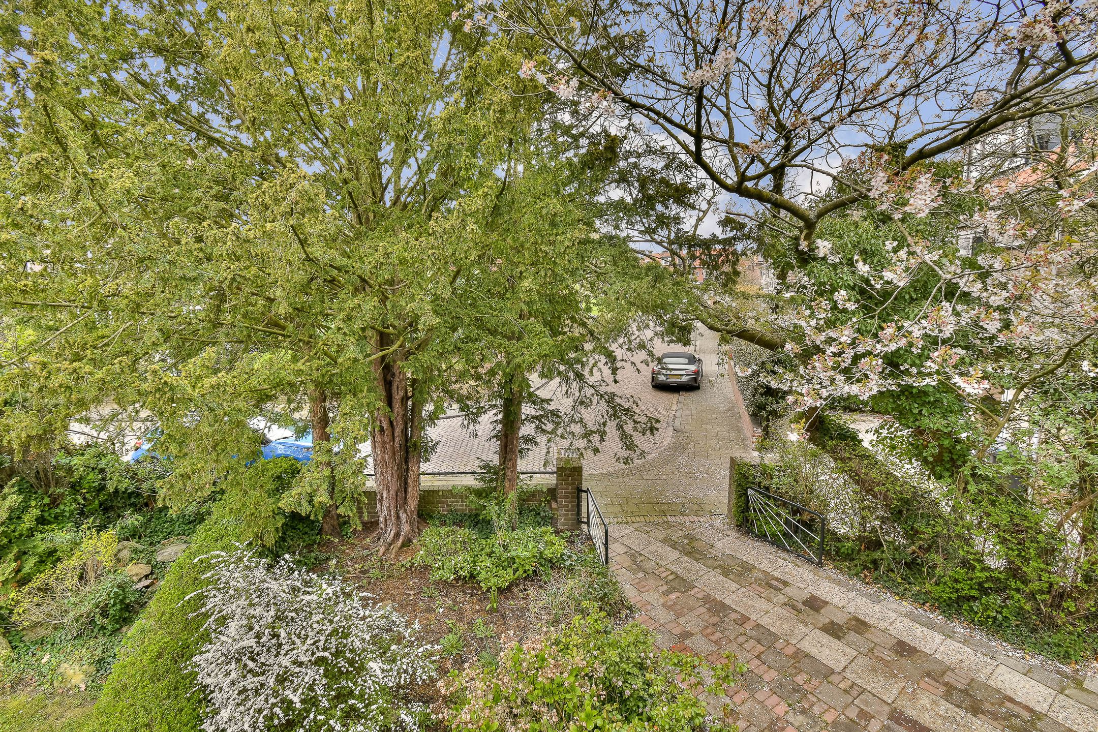 Foto 27 van van Heutszpark 16