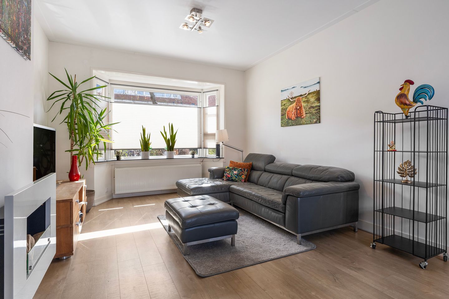 Foto 10 van Molenstraat 50