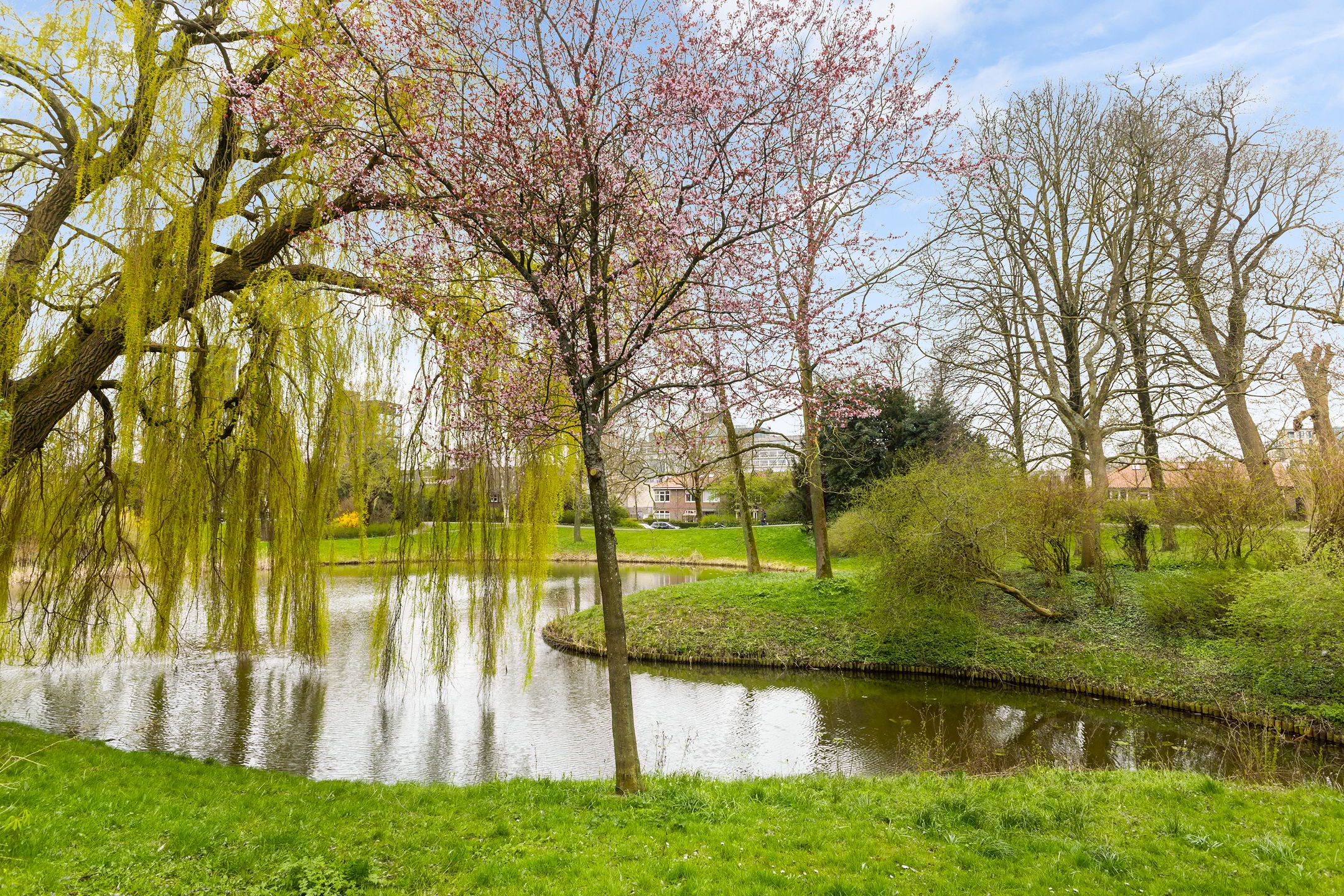 Foto 45 van Molenstraat 50