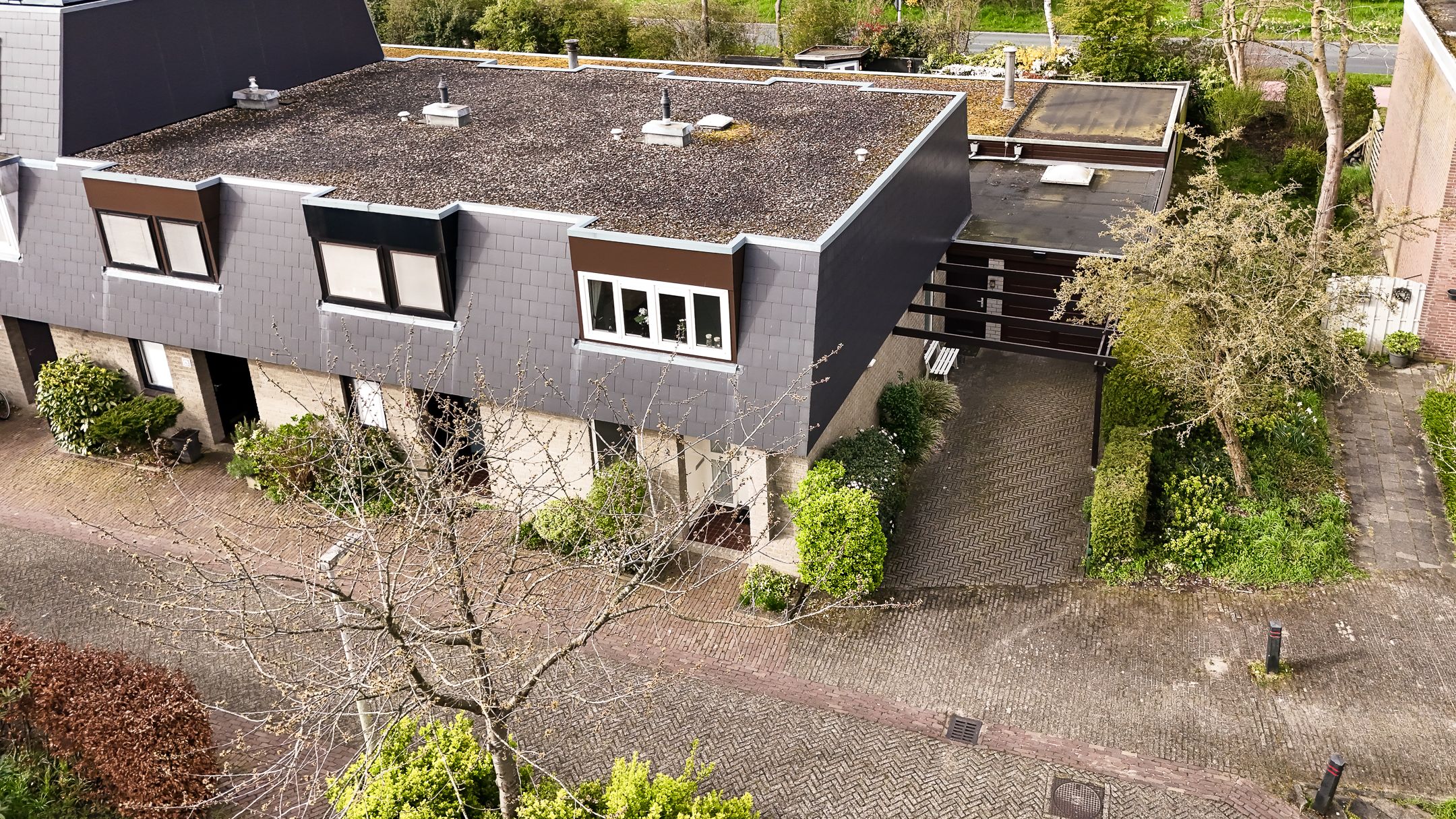 Foto 6 van Boekweitkamp 2