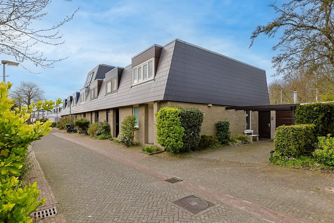 Foto 7 van Boekweitkamp 2