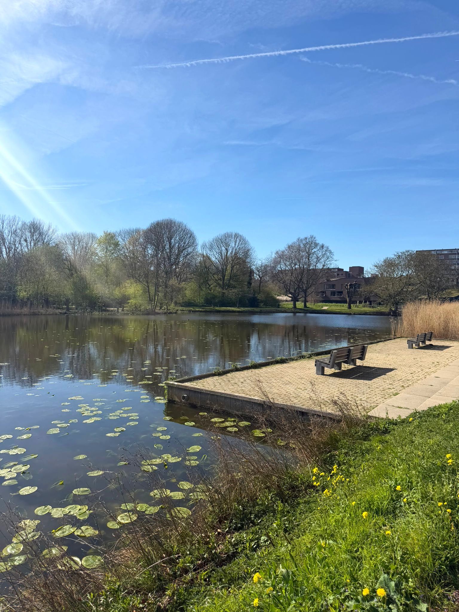 Foto 57 van Boekweitkamp 2