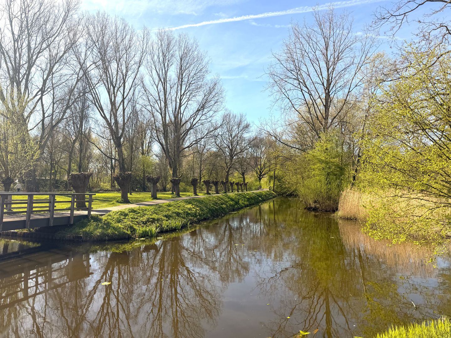 Foto 55 van Boekweitkamp 2