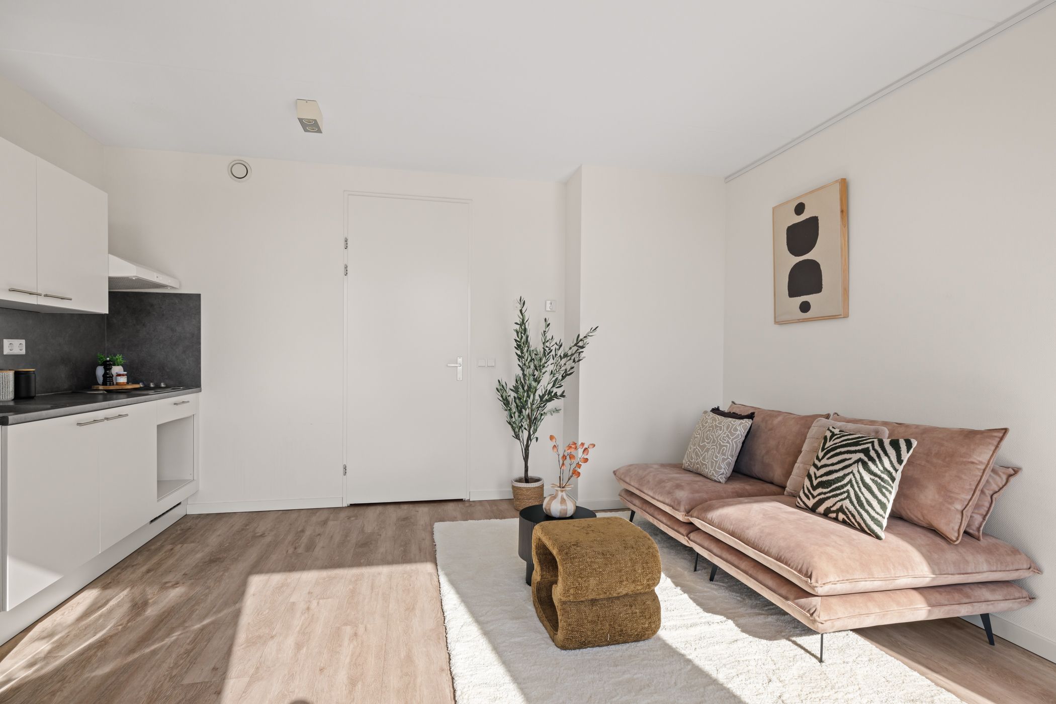 Foto 9 van Amsterdamsestraatweg 729-D