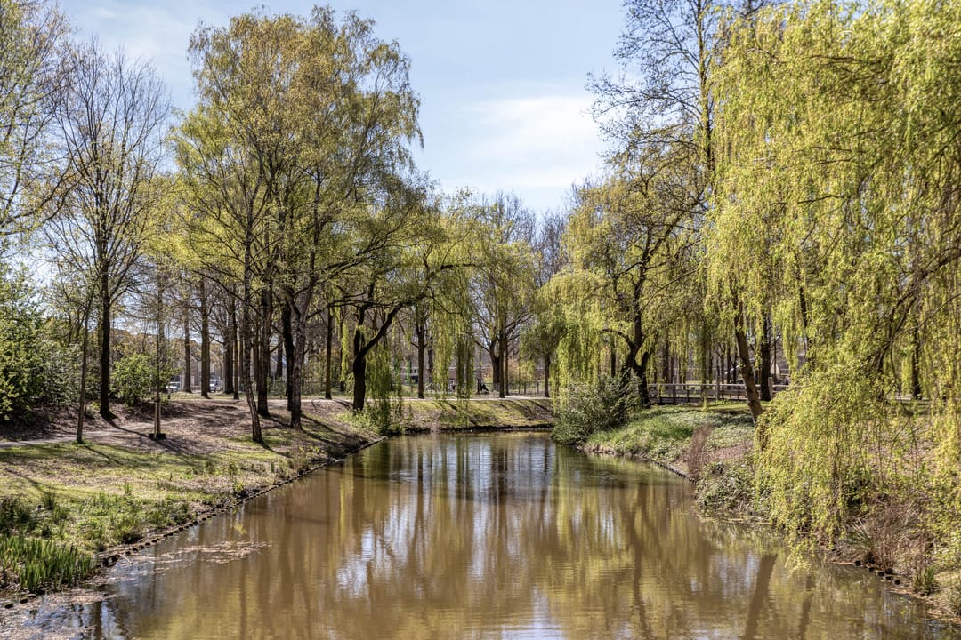 Foto 32 van Gouderakstraat 1