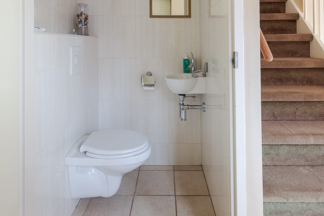 Foto 7 van Tribune 2