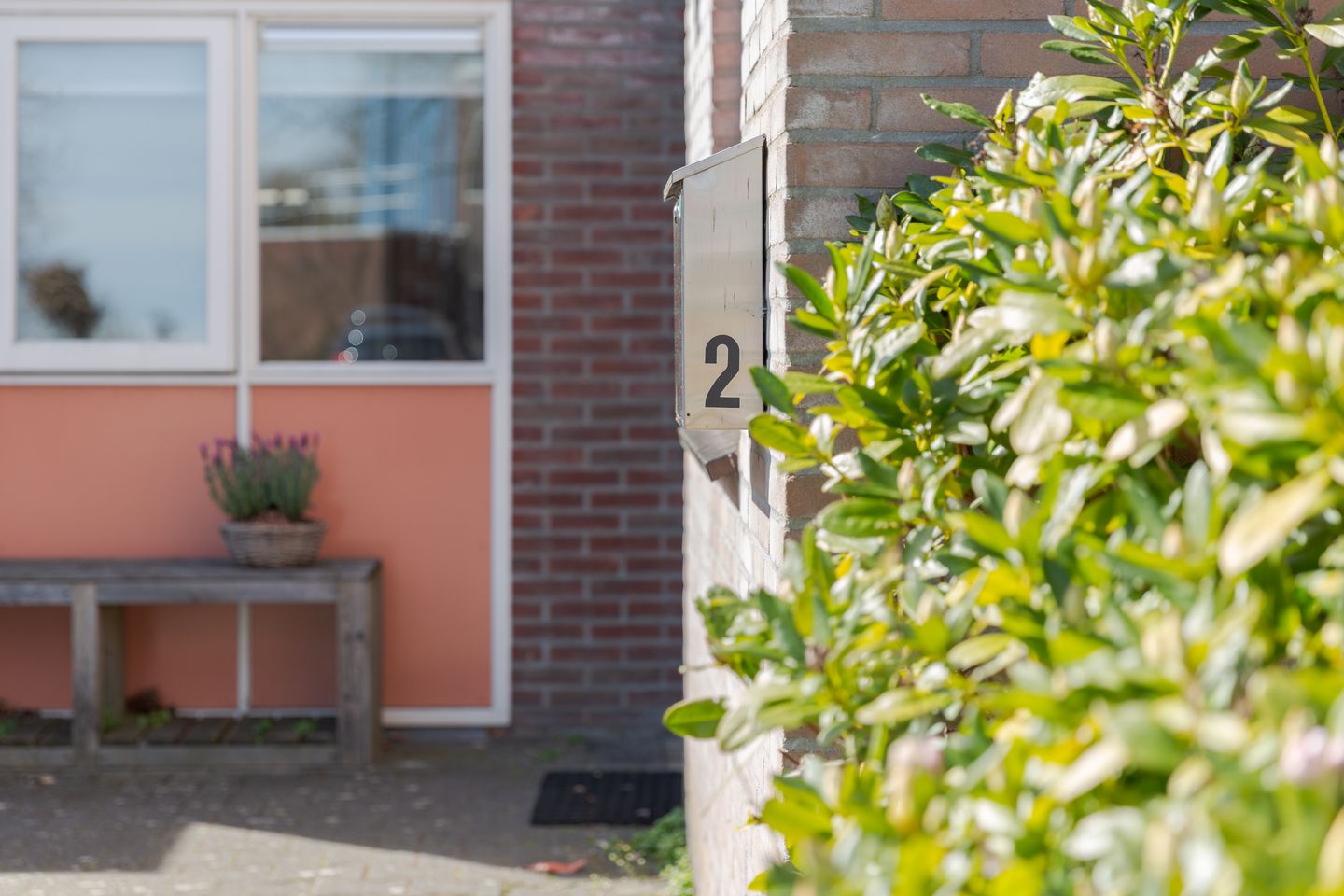 Foto 5 van Tribune 2