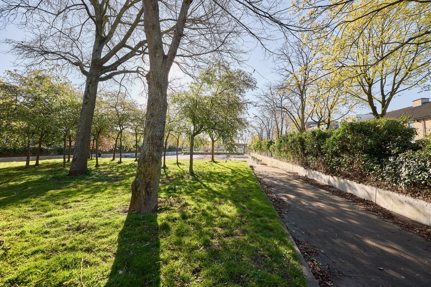 Foto 29 van Cornelis Dirkszstraat 165