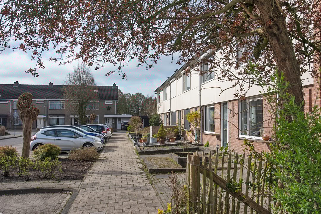 Foto 31 van Ribesstraat 11