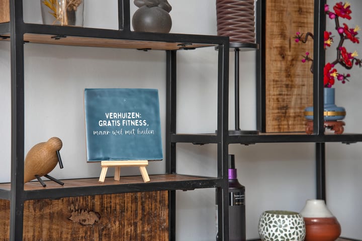 Foto 3 van Ribesstraat 11