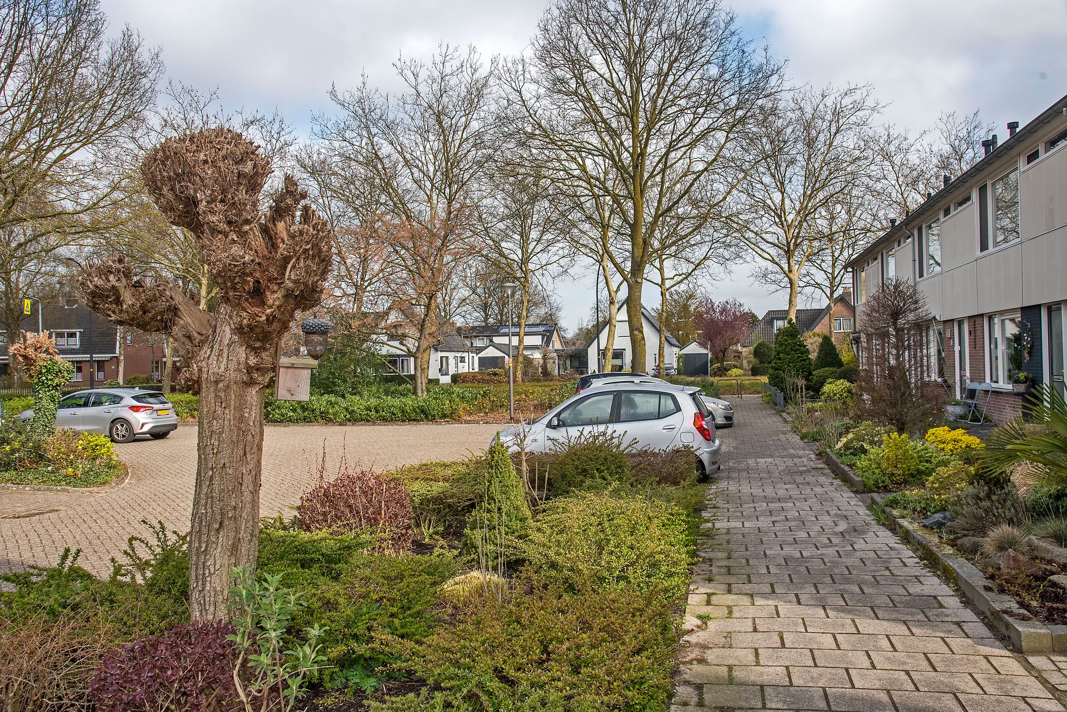 Foto 30 van Ribesstraat 11