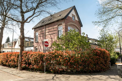 Rozenstraat thumbnail