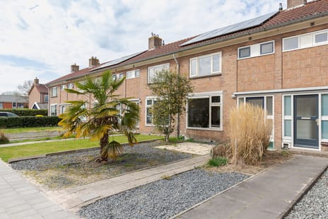 Irenestraat thumbnail