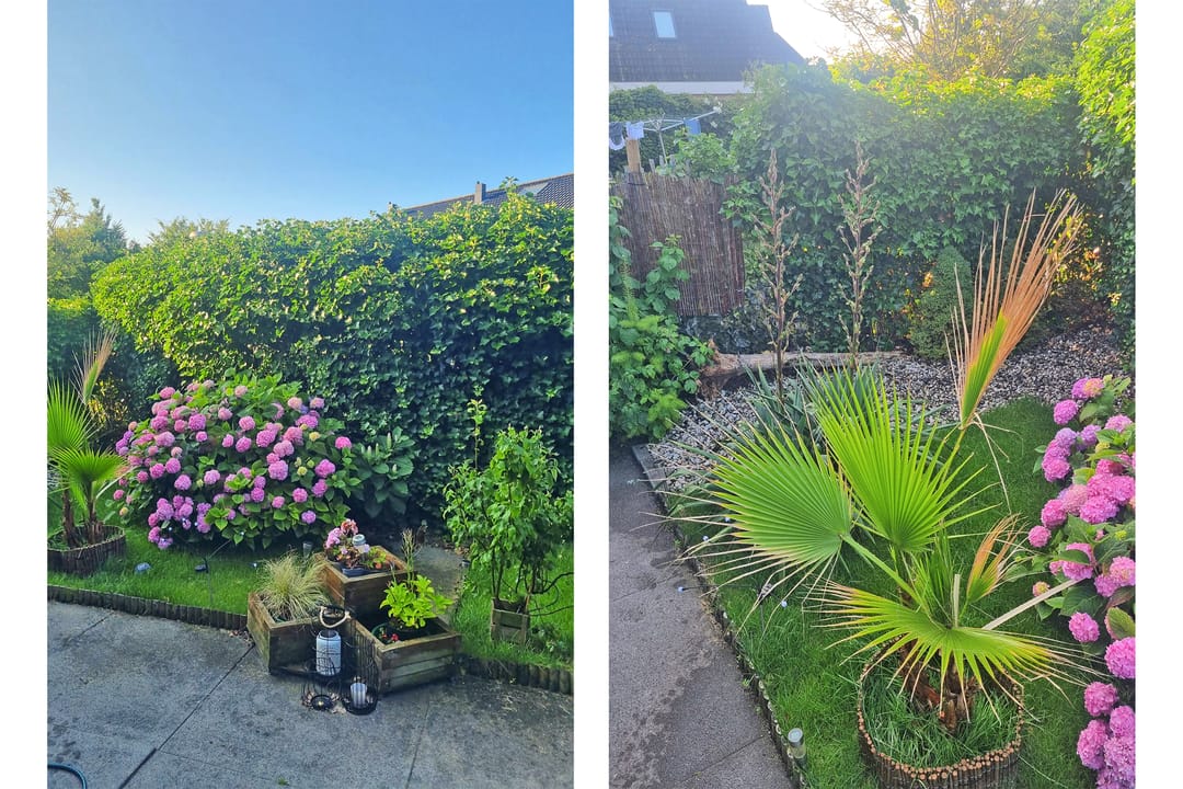 Foto 43 van Timmerliedengilde 35