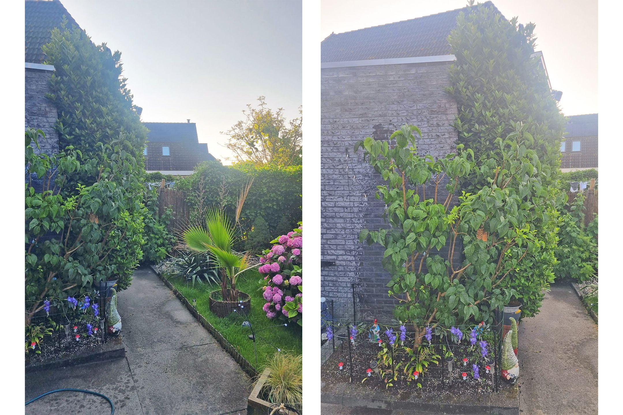 Foto 45 van Timmerliedengilde 35