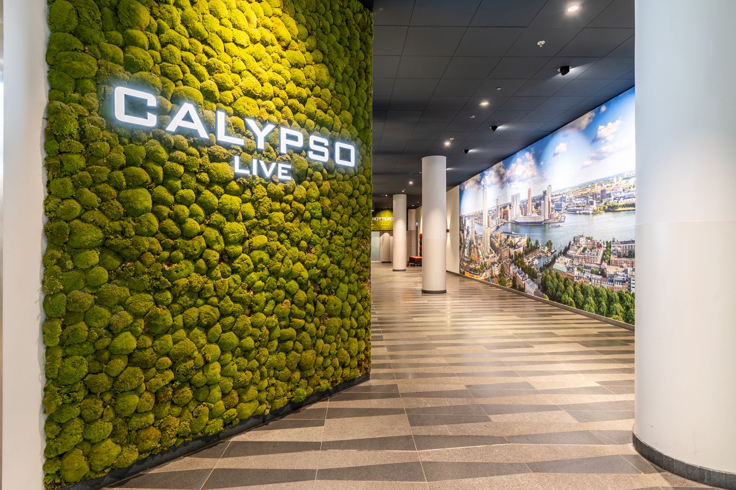 Foto 5 van Kruisplein 986