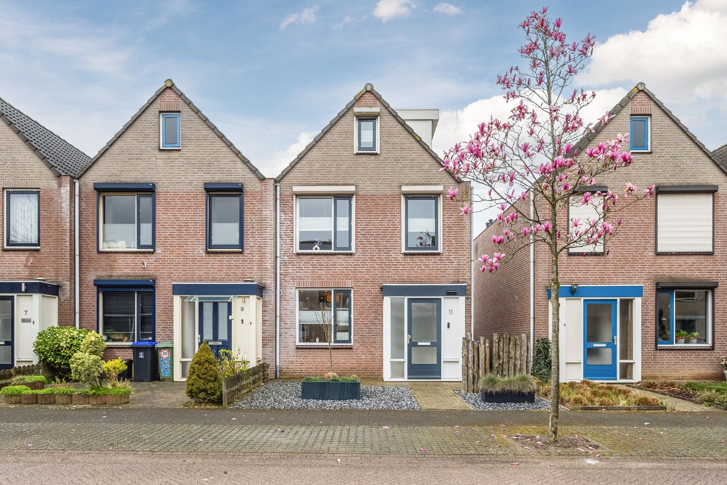 Foto 5 van Gele Lis 11