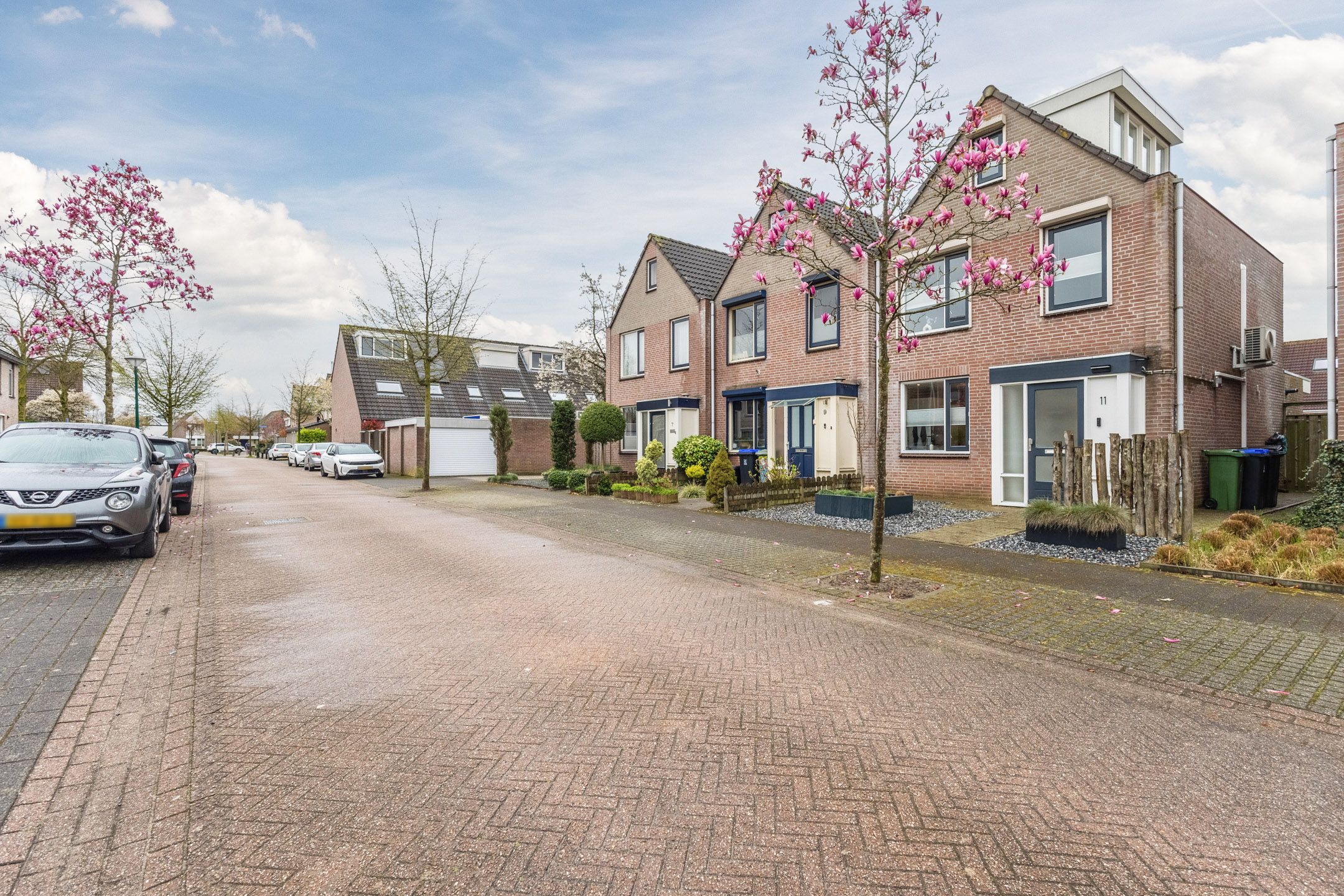 Foto 6 van Gele Lis 11