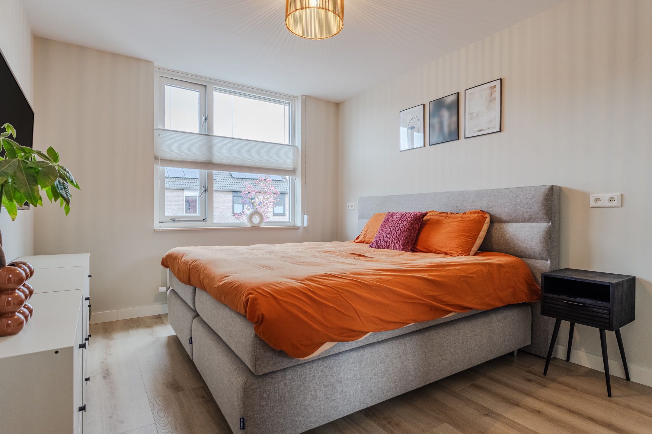 Foto 15 van Gele Lis 11