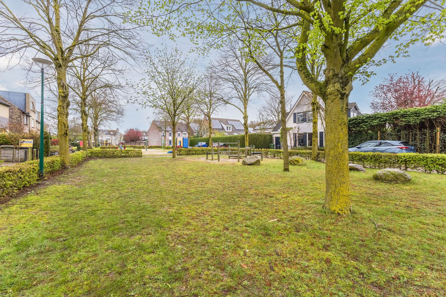 Foto 34 van Gele Lis 11