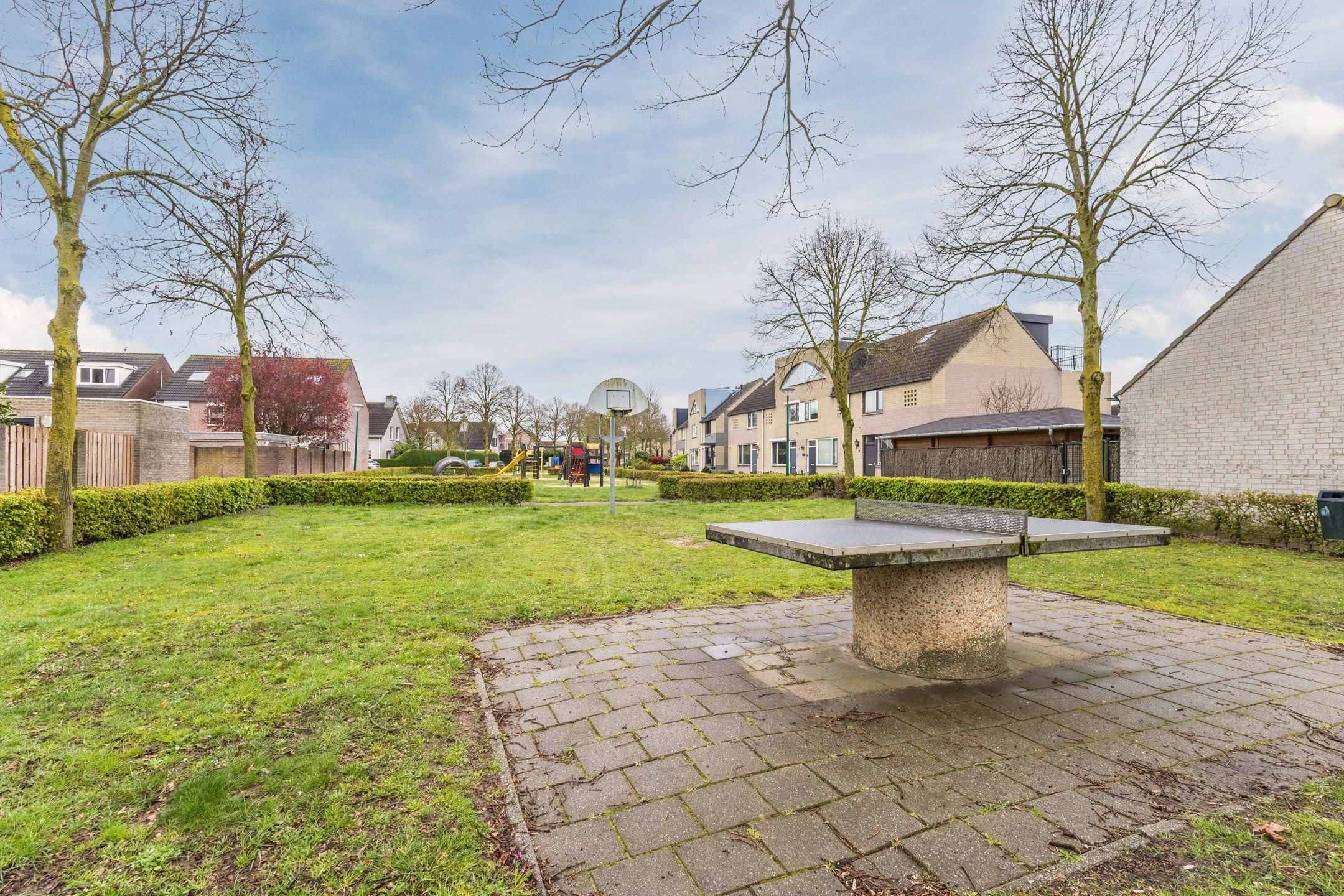 Foto 36 van Gele Lis 11