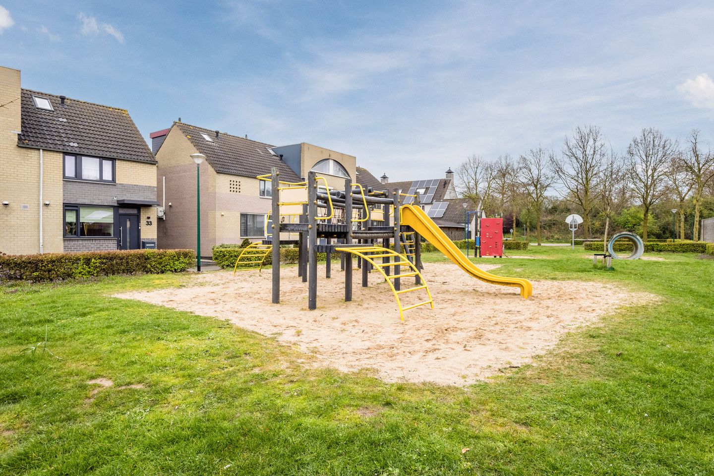 Foto 35 van Gele Lis 11