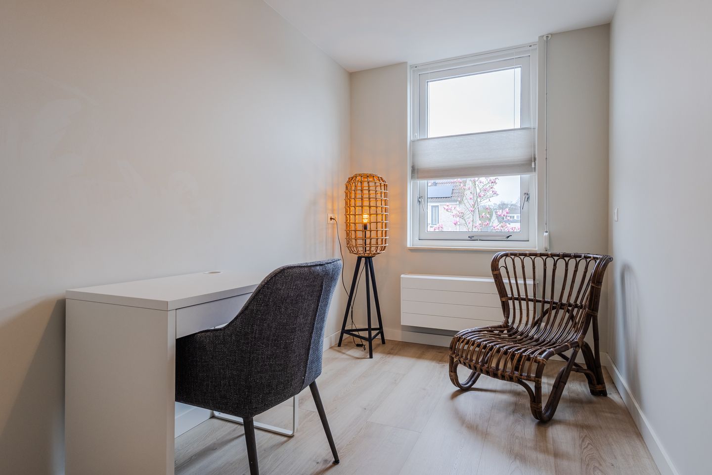 Foto 20 van Gele Lis 11