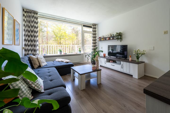 Foto 5 van Anna Paulownalaan 24