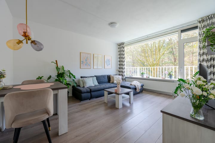 Foto 4 van Anna Paulownalaan 24