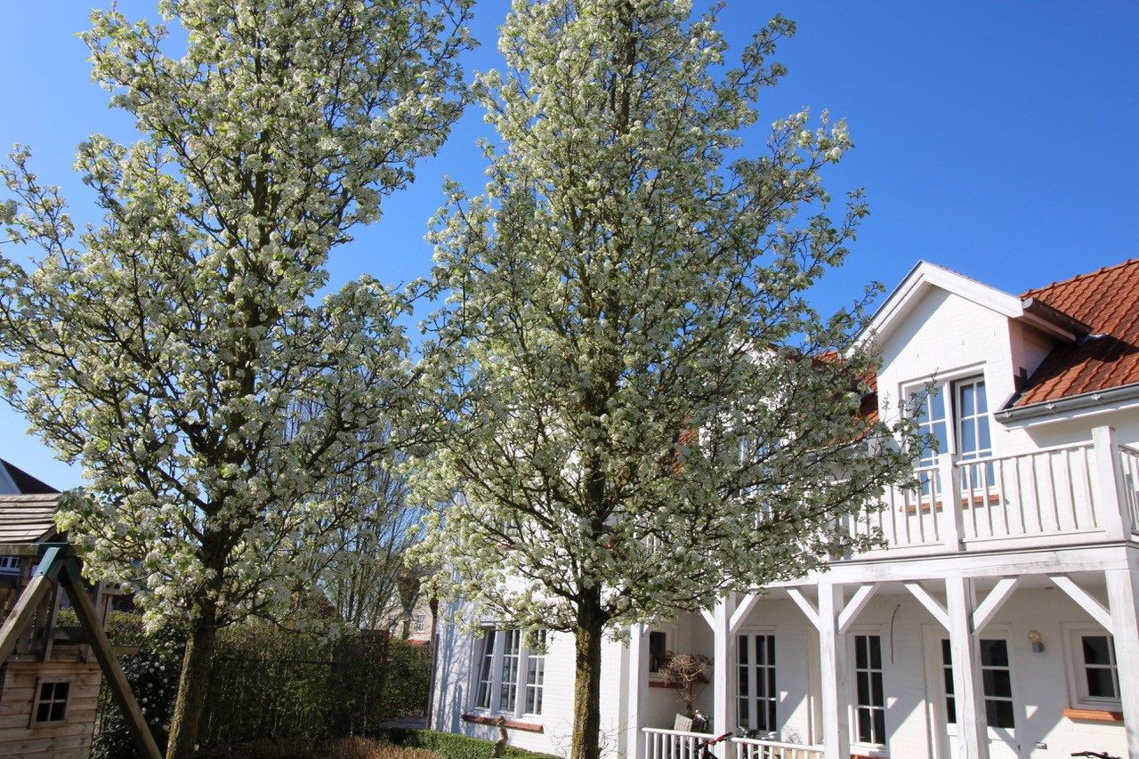 Groenevelt 12 