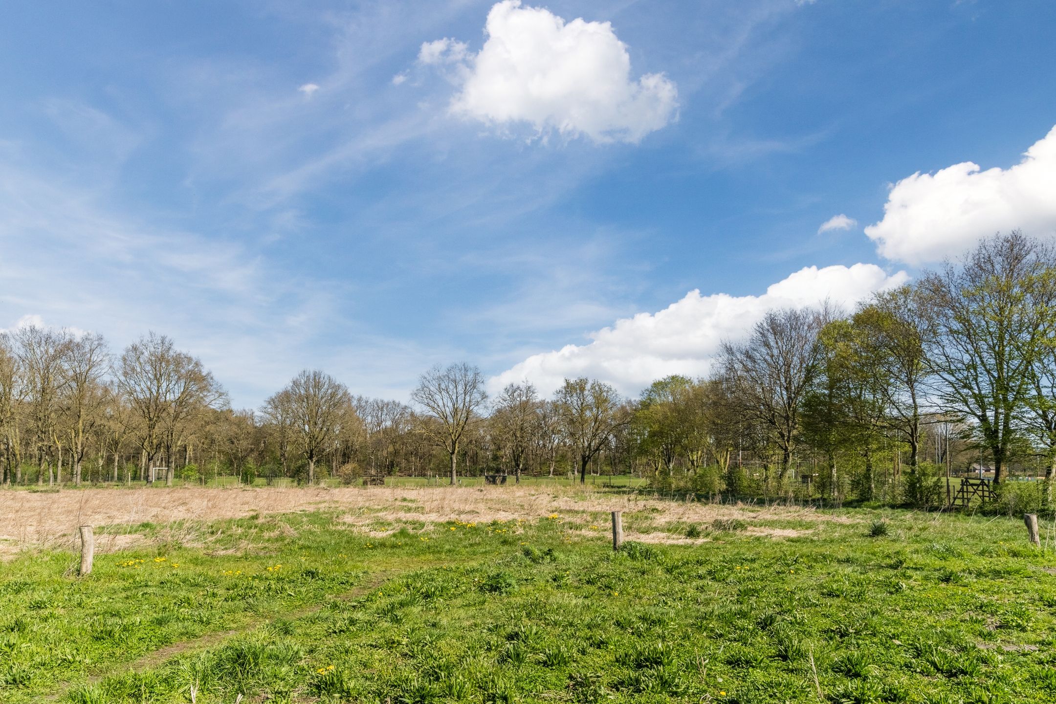 Foto 51 van Lieve Vrouweveld 3