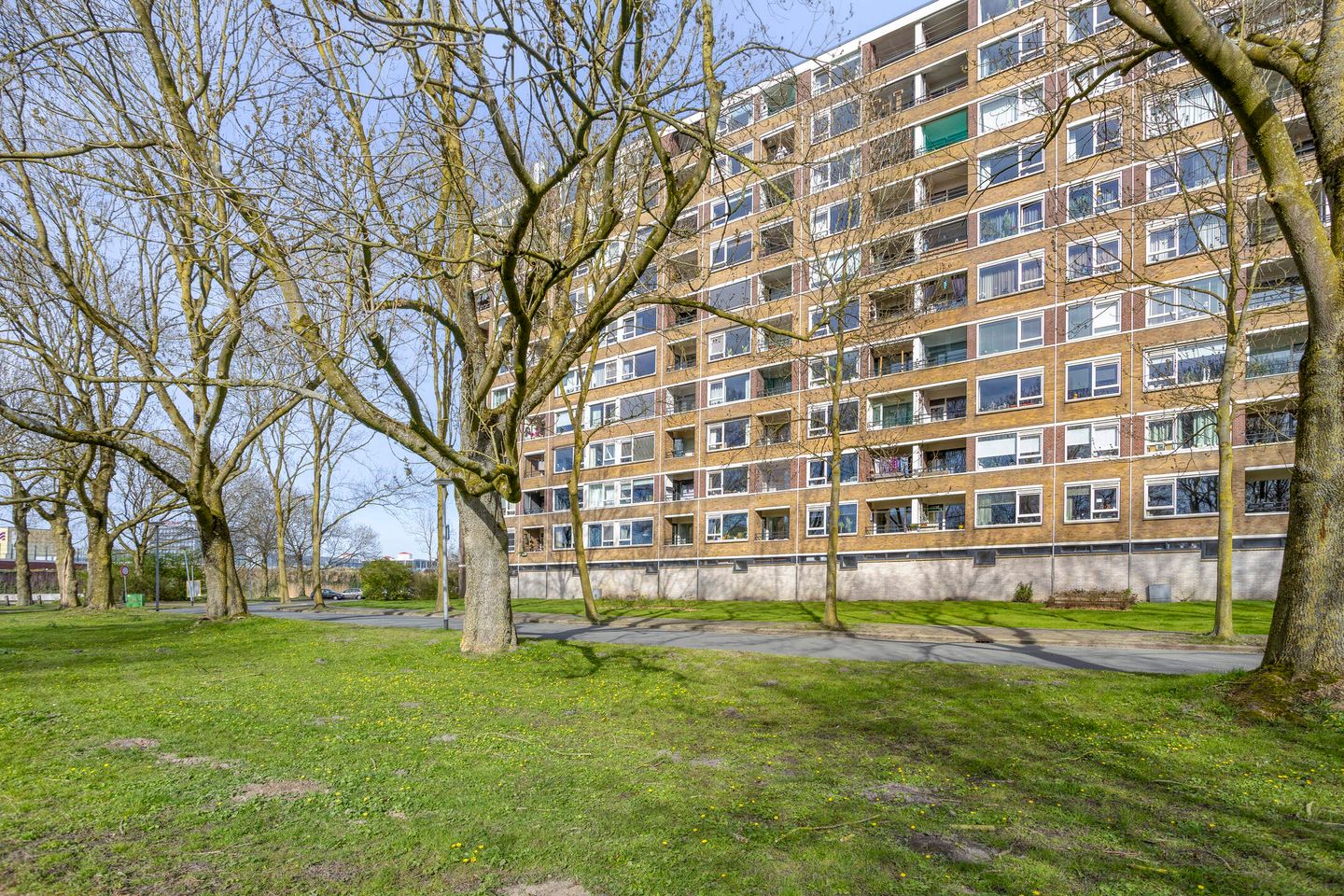 Foto 50 van Donderslaan 111