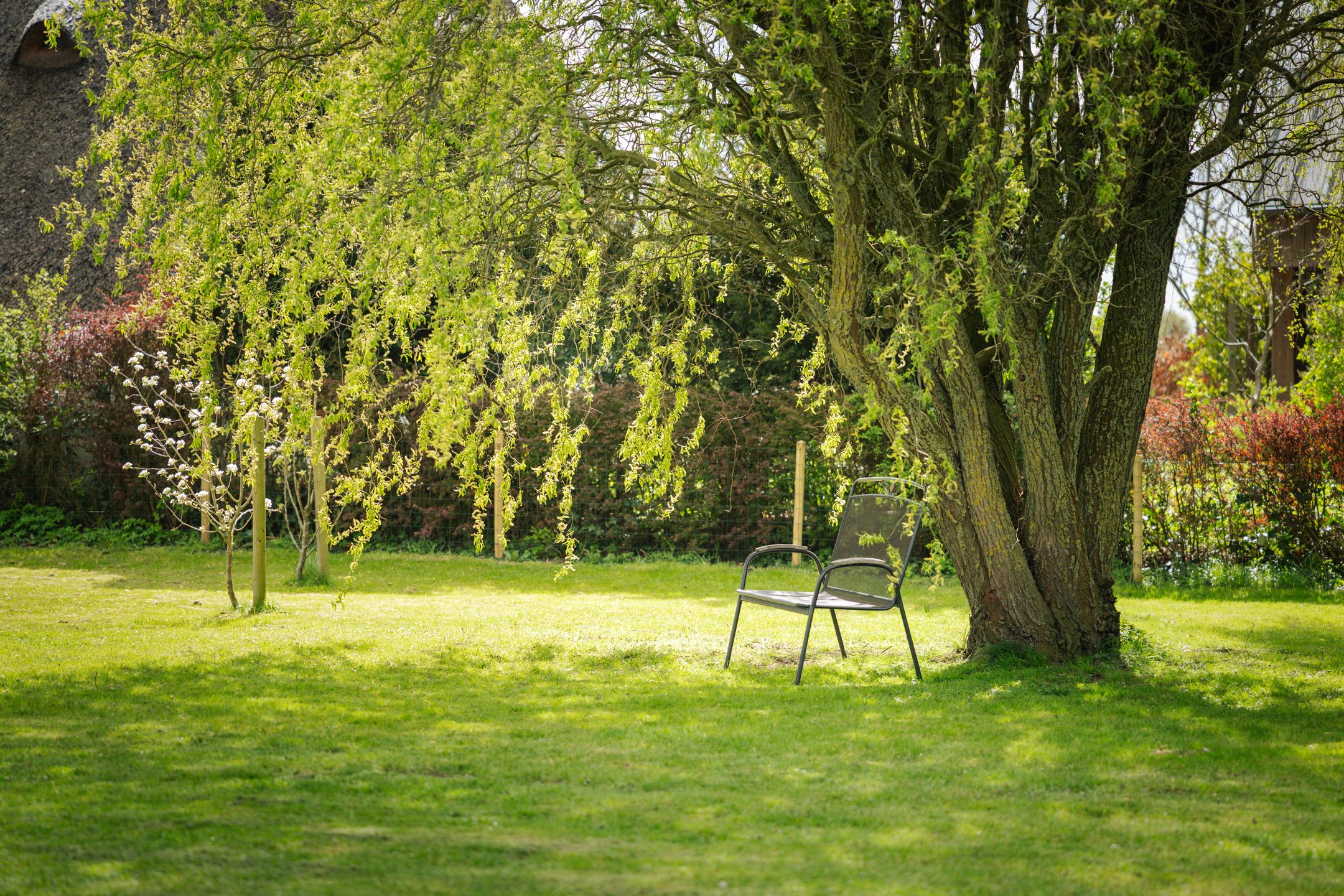 Photo 60 of Veldweg 7