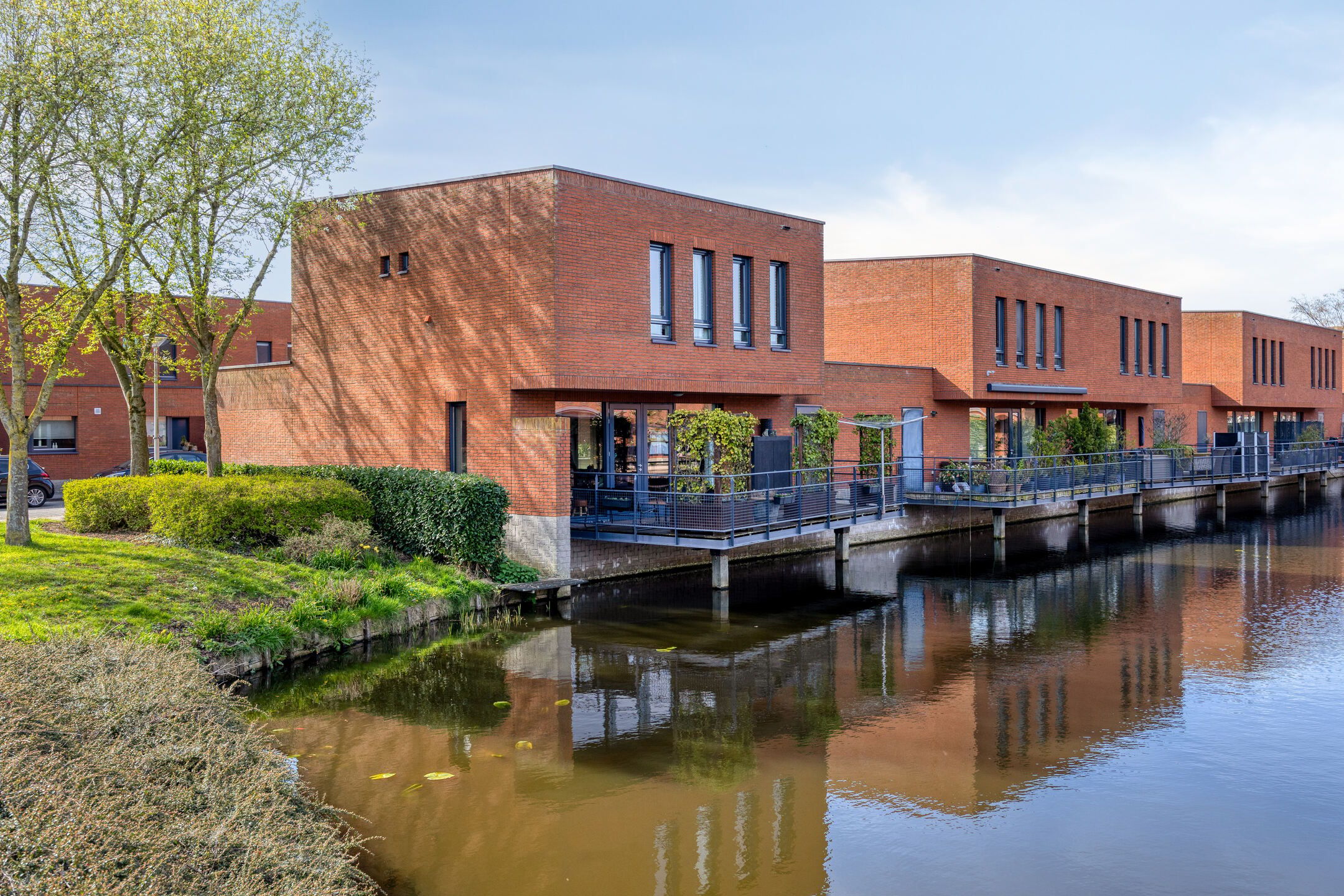 Grasakker 49 