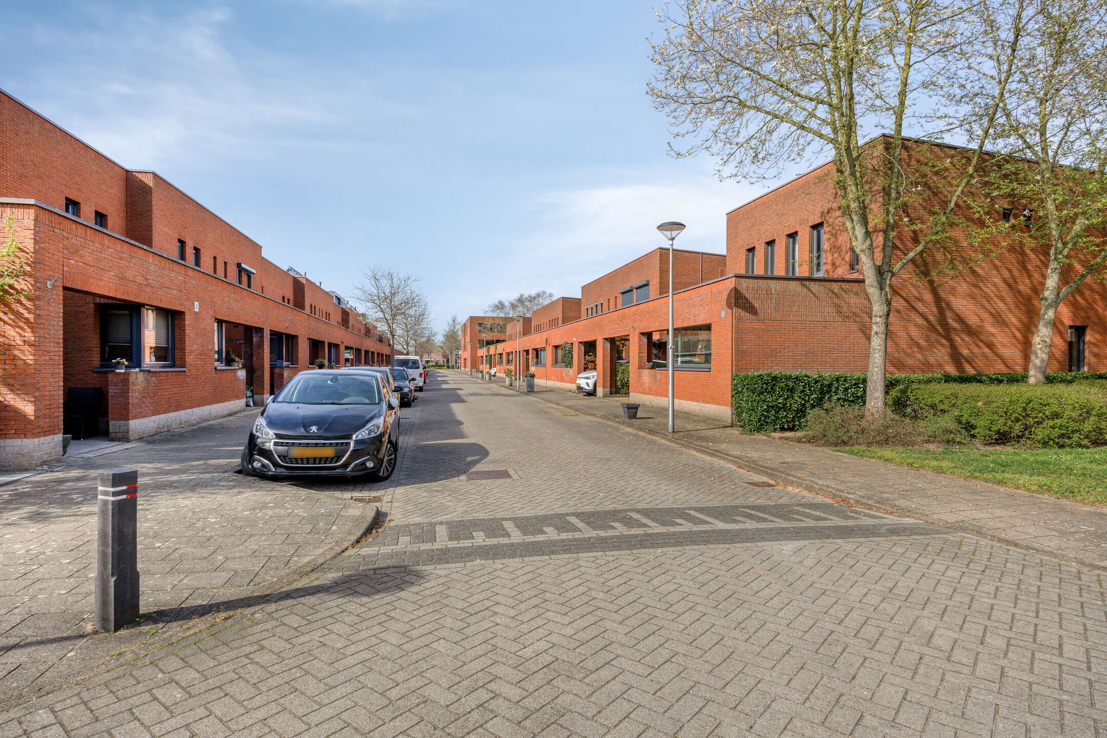 Photo 27 of Grasakker 49