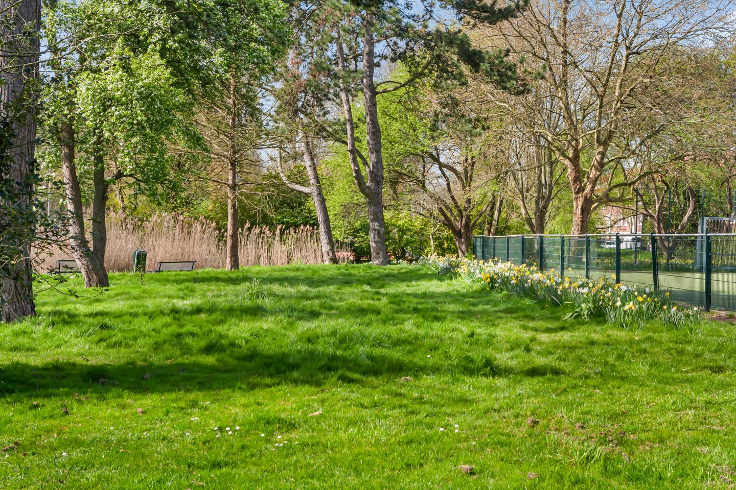 Foto 25 van Paets van Troostwijkstraat 119