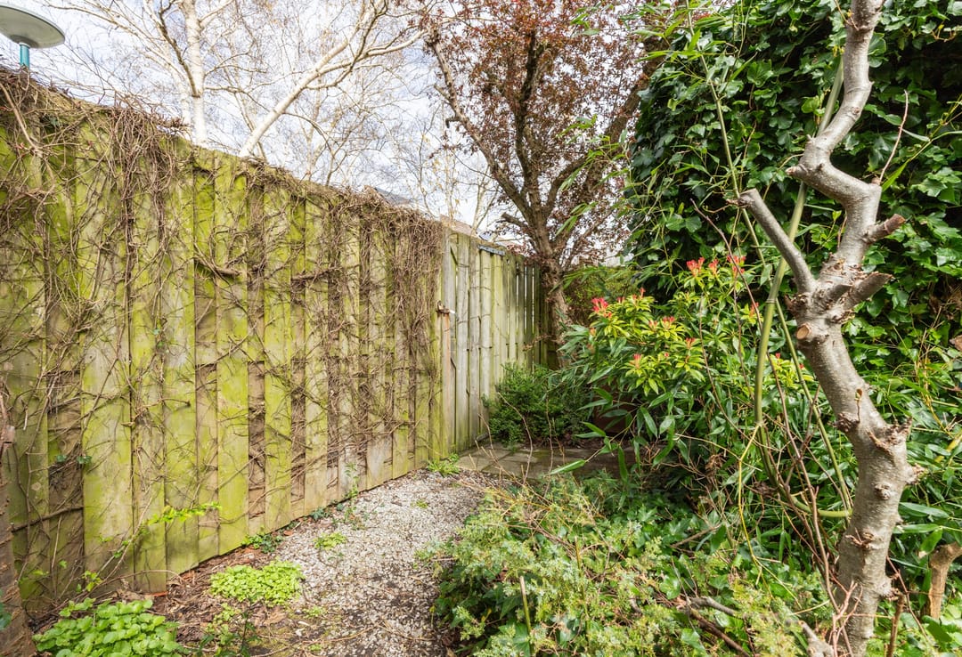 Photo 16 of Hella Haasseplantsoen 9