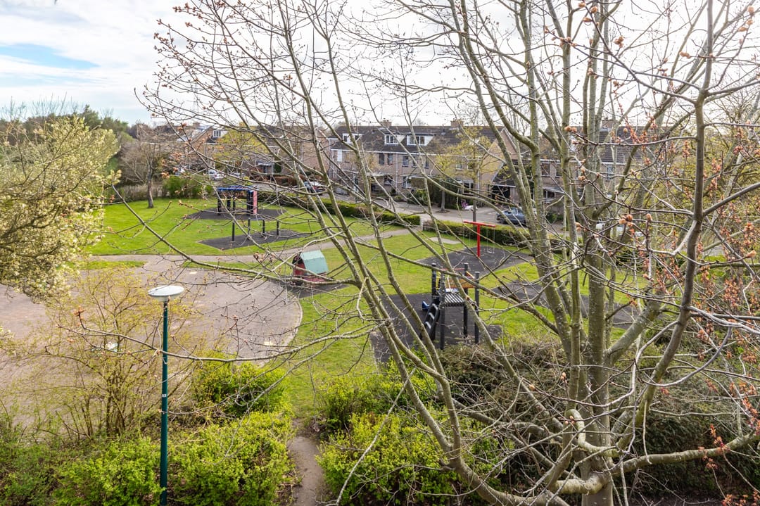 Photo 31 of Hella Haasseplantsoen 9