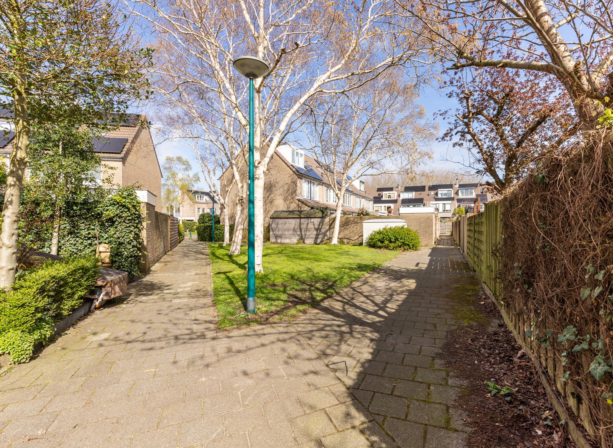 Photo 33 of Hella Haasseplantsoen 9