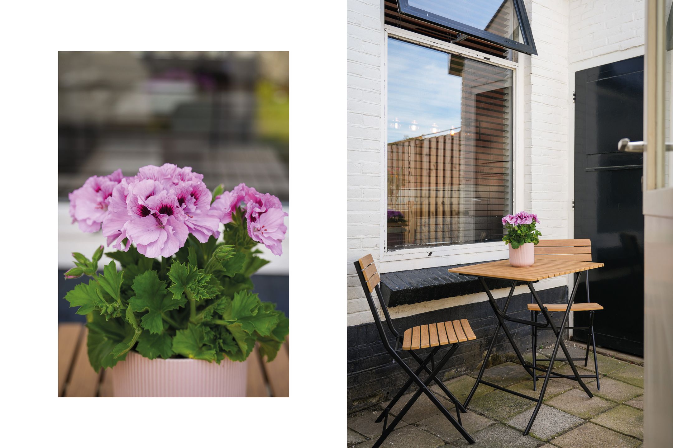 Foto 30 van Prinses Marijkeweg 69