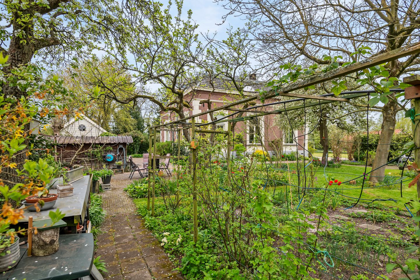 Foto 20 van Uiterdijk 15