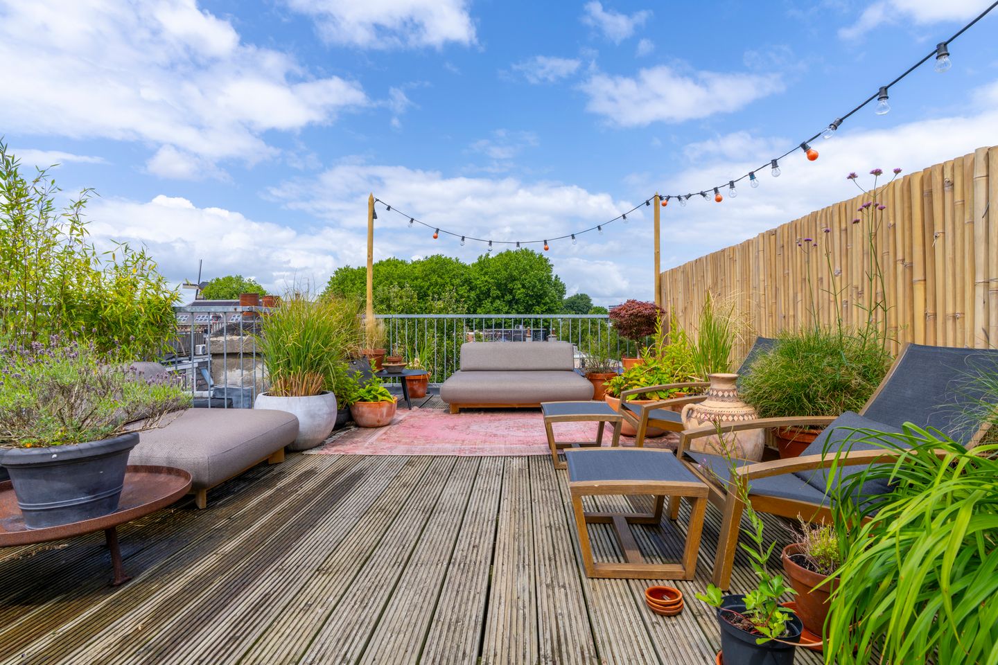 Foto 49 van Duifstraat 57