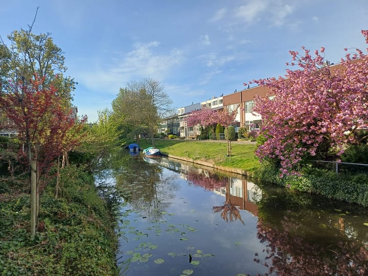 Photo 2 of Meidoorn 7