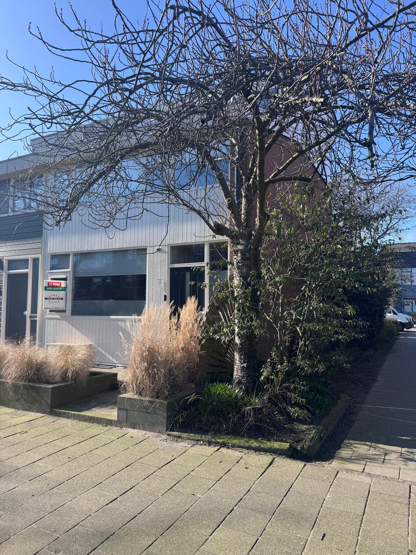 Foto 40 van Meidoorn 7