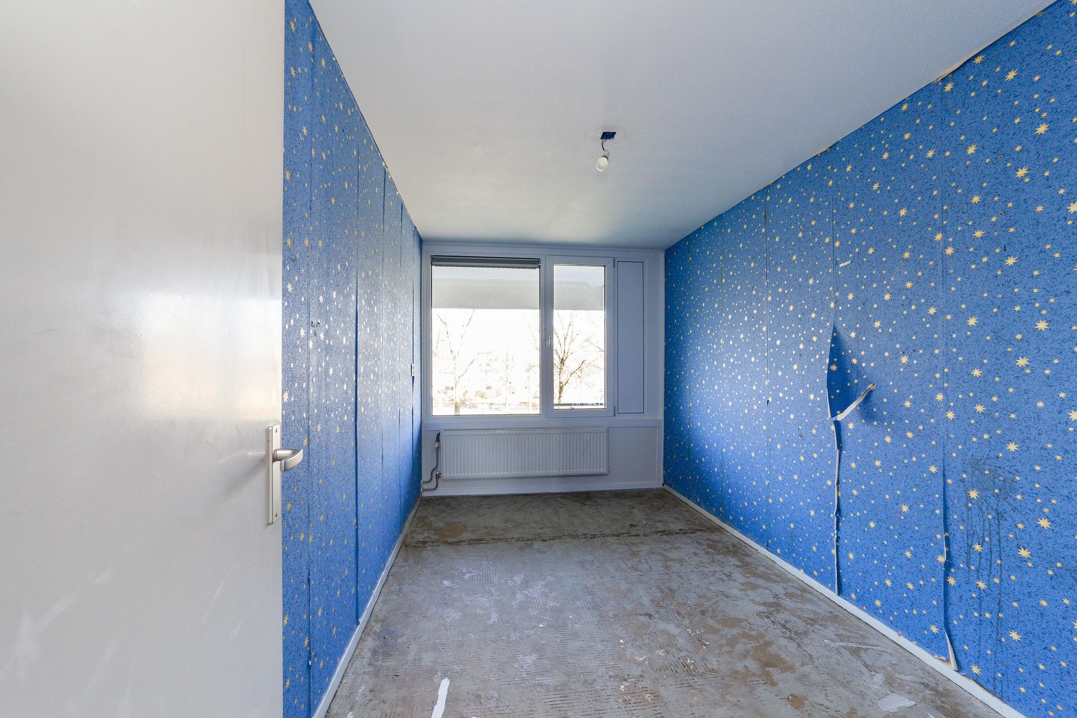 Foto 21 van Olivierplaats 4