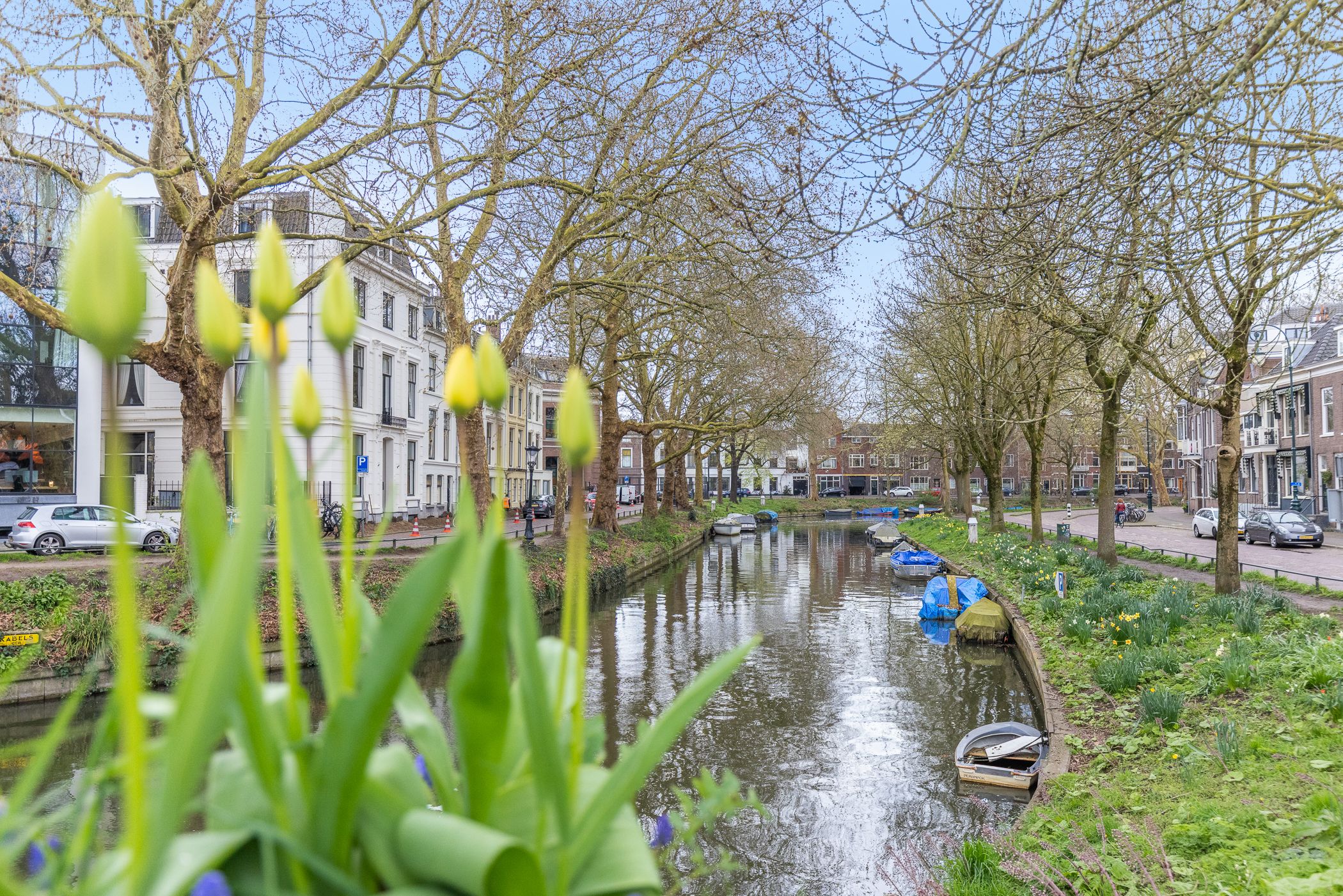 Foto 36 van Loeff Berchmakerstraat 46-A