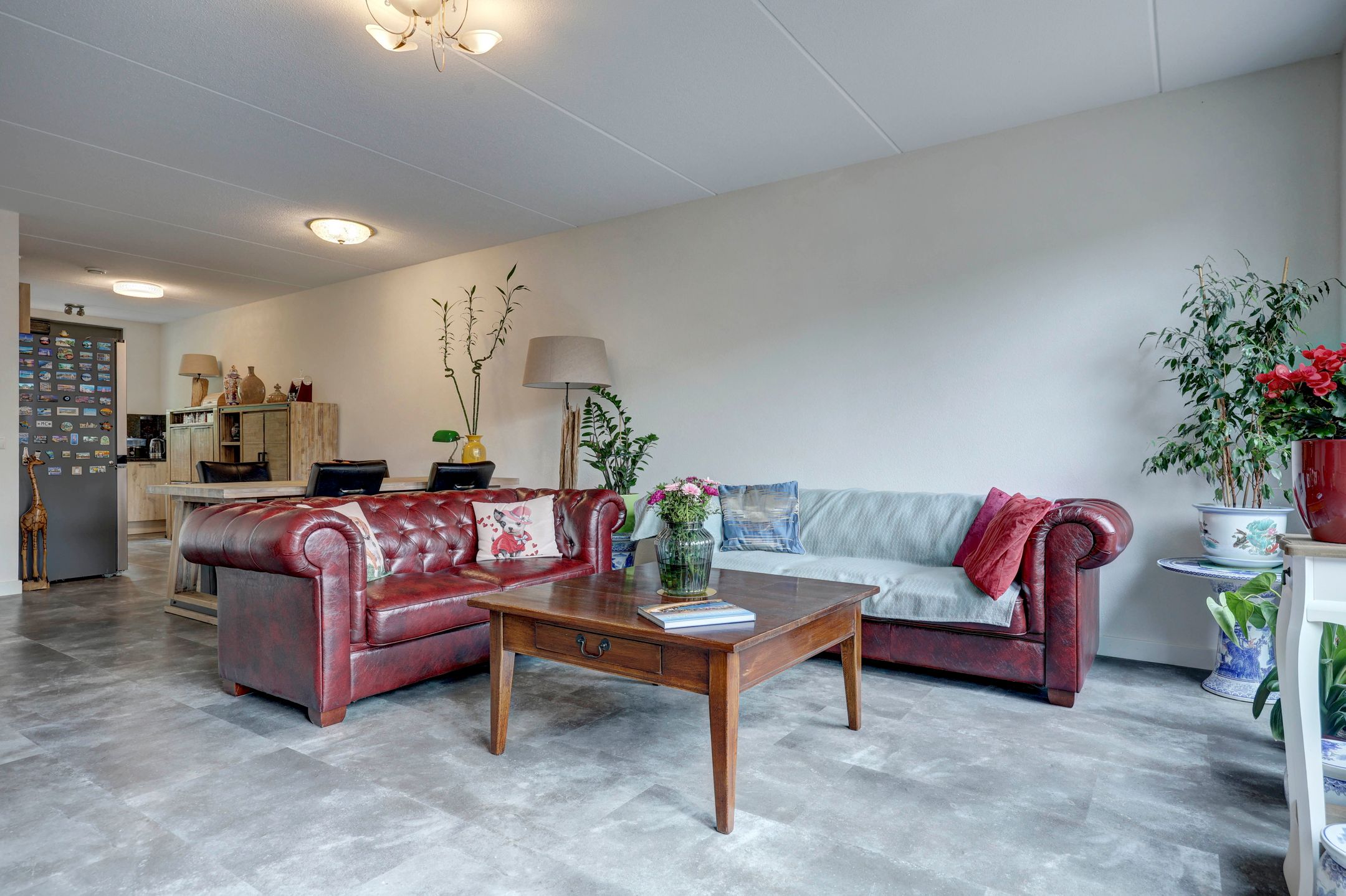 Foto 6 van Kostverloren 6