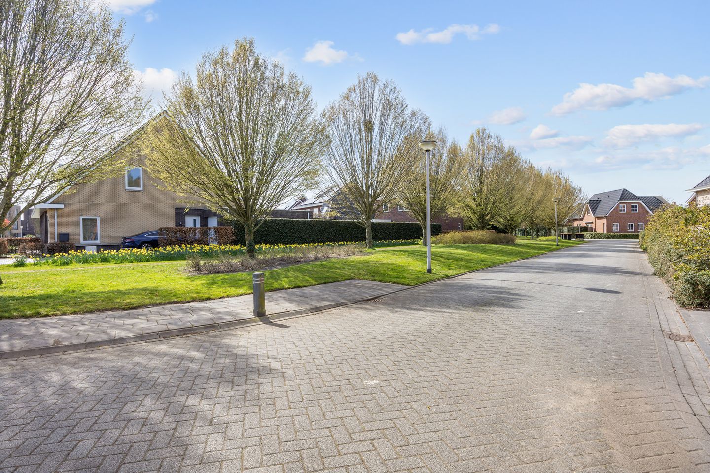 Photo 10 of Bosrank 55