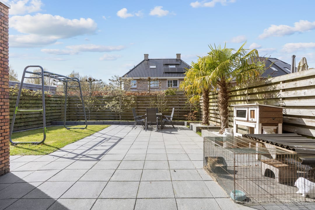 Photo 58 of Bosrank 55